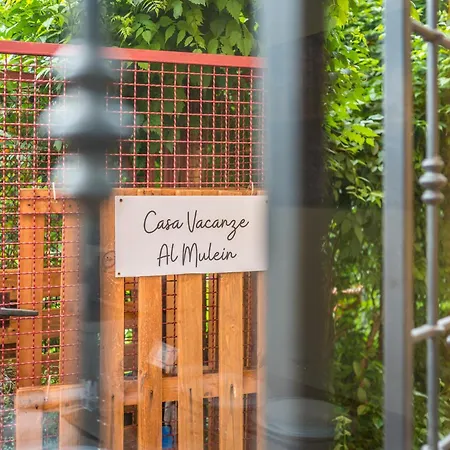 Lägenhet Al Mulein - 2 Passi Dal Centro Con Parcheggio